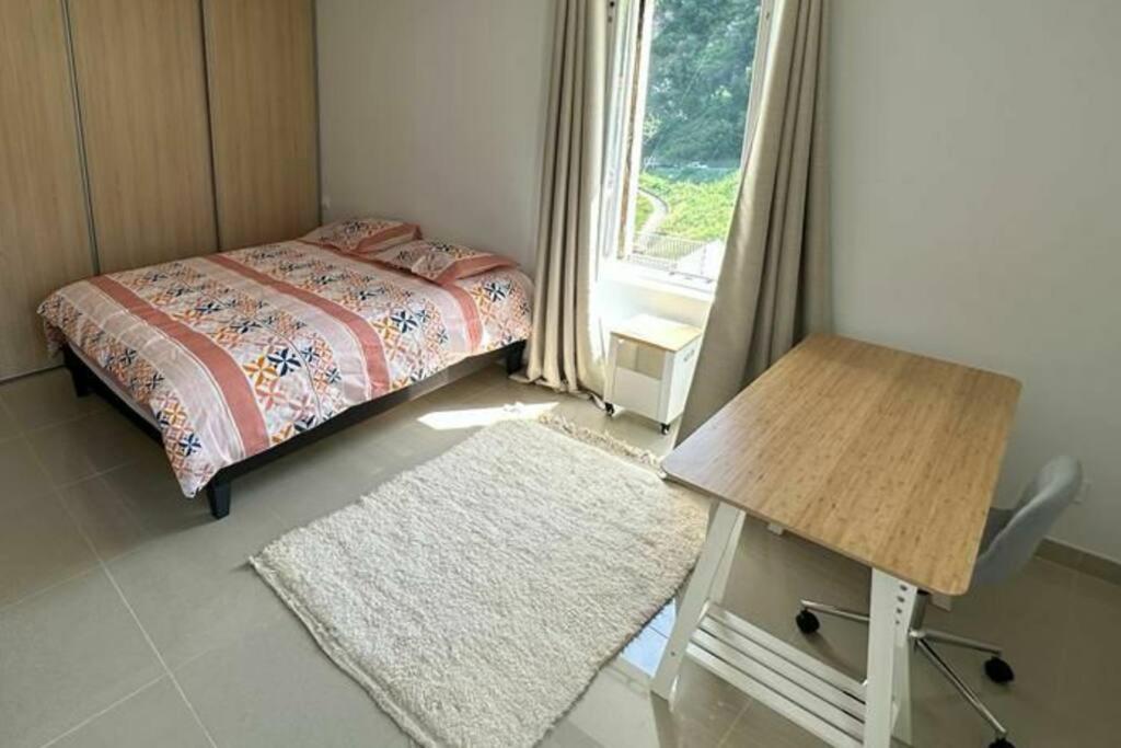 Cocoon 52 M2 New, Beautiful View Castle And Mountain Apartment Foix